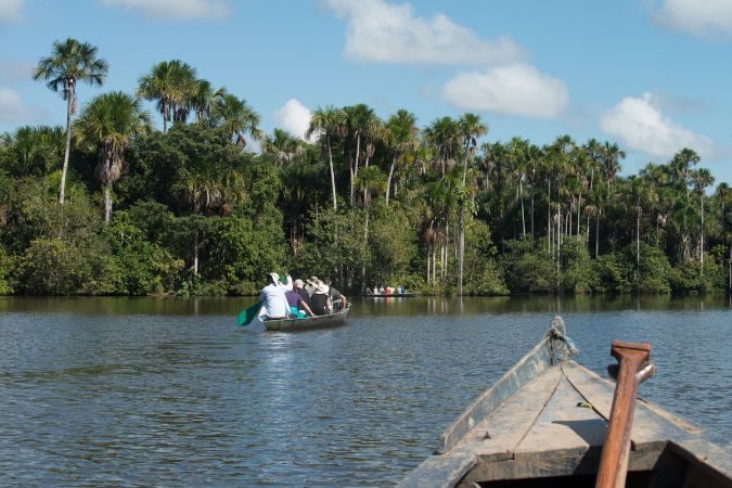 peruvian_amazon