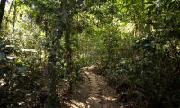 Inkaterra-Reserva-Amazonica