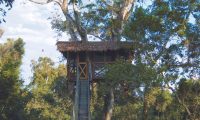 Inkaterra-Reserva-Amazonica