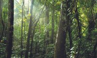 Inkaterra-Reserva-Amazonica