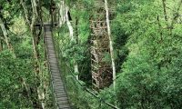 Inkaterra-Reserva-Amazonica