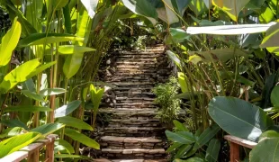Isla_Palenque_Villa_Estate