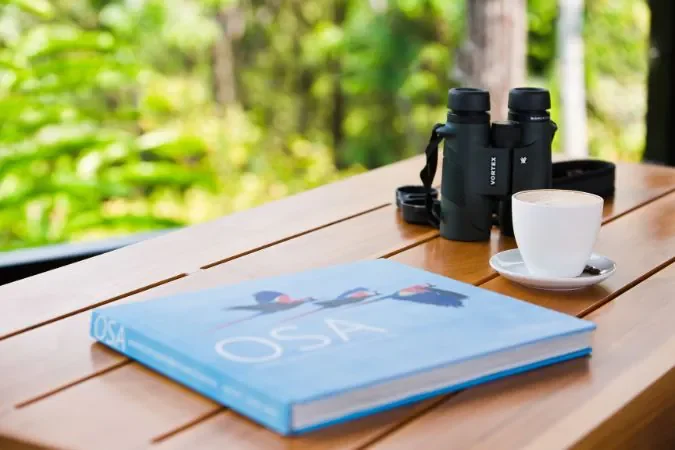 Bird_Watching_Costa_rica