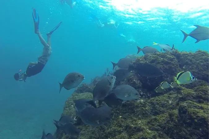 snorkeling_costa_rica
