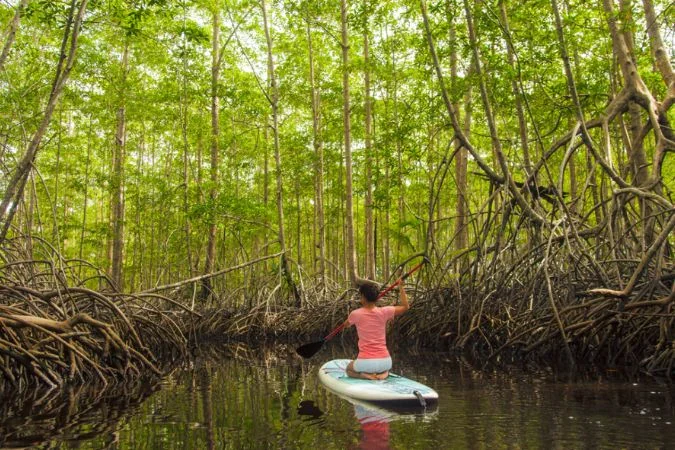 Paddle_boarding_Costa_rica