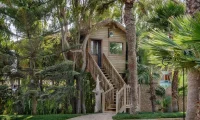 La_Sultana_Oualidia_tree_house