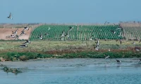 La_Sultana_Oualidia