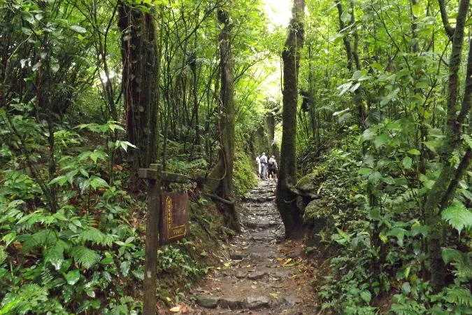 Morgans_rock_mombacho_trail