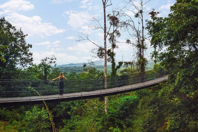 nayara_rainforest_trail_costa_rica