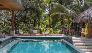 Pasha_luxury_estate
