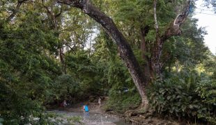 santa_teresa_costa_rica