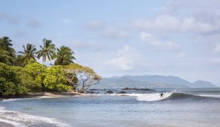 surfing_costa_rica