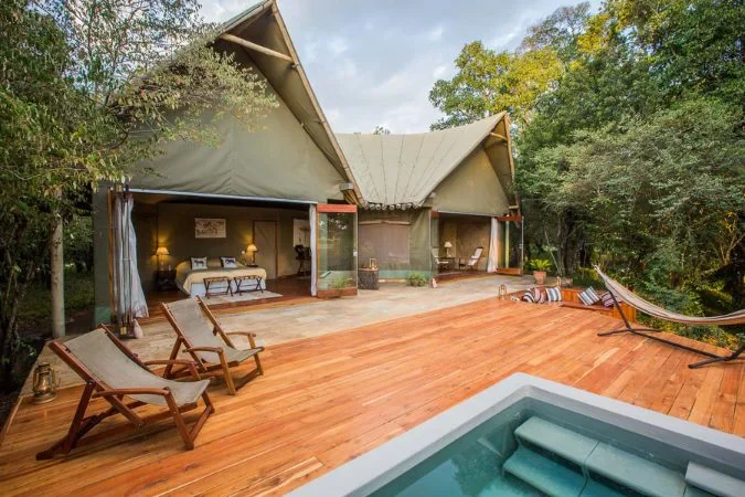 salas_camp_forest_luxury_tent