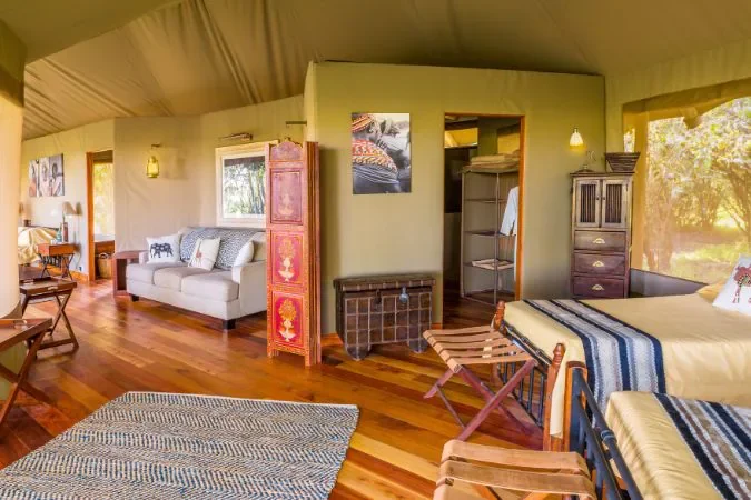 salas_camp_forest-family_tent