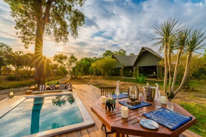 salas_camp_forest_honeymoon_tent