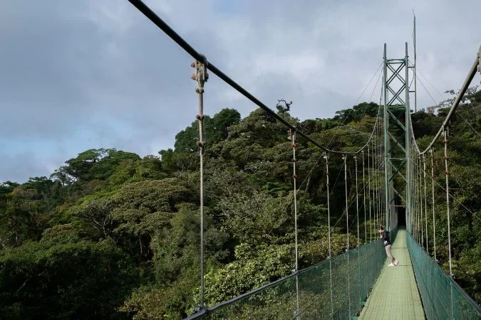 sky_walk_monteverde_cloudforest