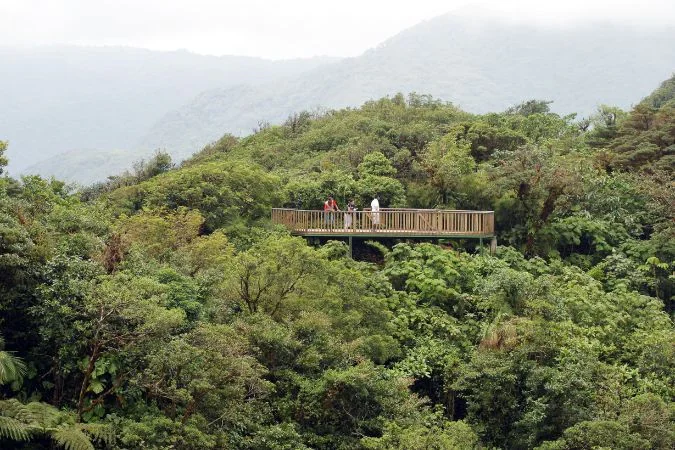 senda_monteverde_viewpoint