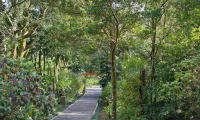 Senda_Monteverde