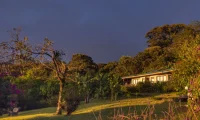 Senda_Monteverde