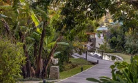 Senda_Monteverde