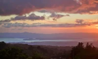 Senda_Monteverde_cloud_forest