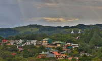 Senda_Monteverde_cloud_forest