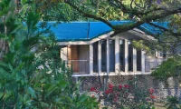 Senda_Monteverde
