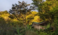 senda_monteverde