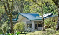 senda_monteverde