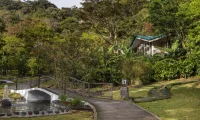 Senda_Monteverde