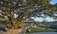 Senda_Monteverde