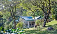 Senda_Monteverde