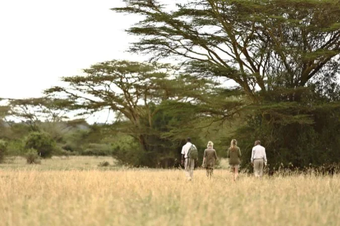 solio_lodge_walking_gamedrive