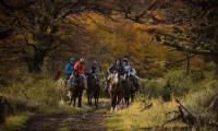 Tierra_Patagonia