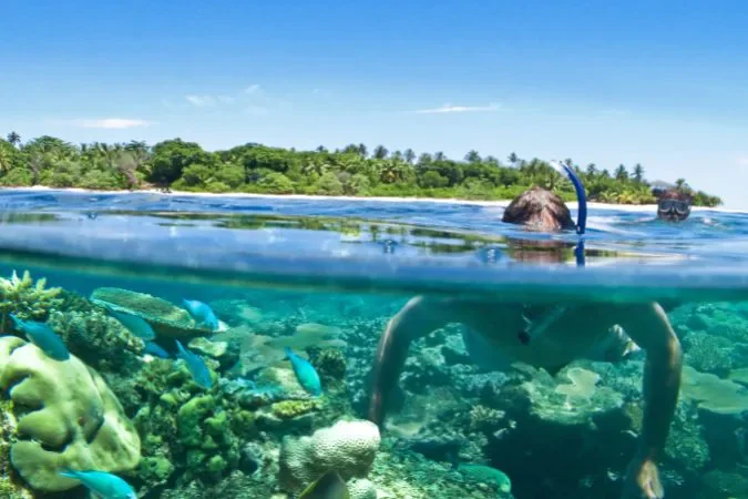 Vomo_Island_snorkeling
