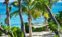 Vomo_Island_Fiji