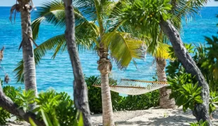 Vomo_Island_Fiji