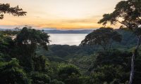 casa_puma_papagayos_Costa_Rica