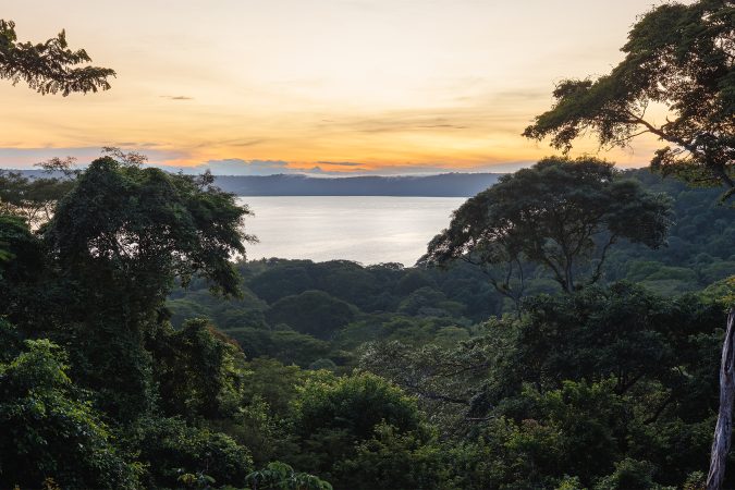 casa_puma_papagayos_Costa_Rica