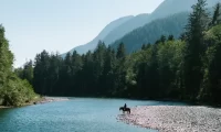 Clayoquot_Vancouver_island