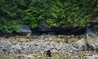 WIldlife_Canada