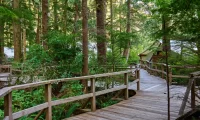 clayoquot_vancouver_island