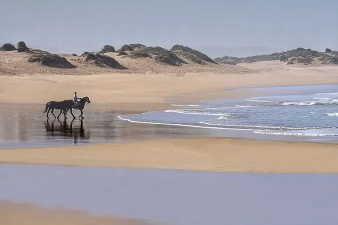 horse_back_riding_morocco