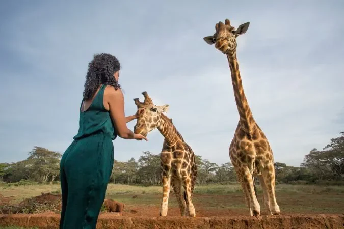 giraffe_manor