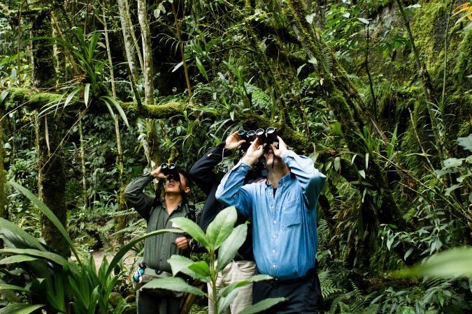 birdwatching_machu_picchu