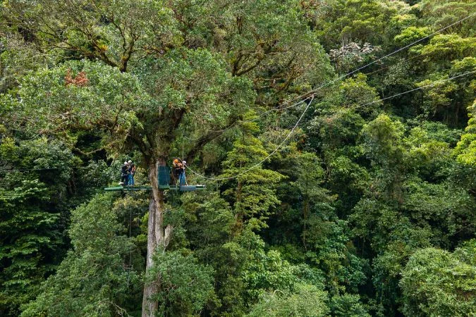zip_linning_Isla_Palenque