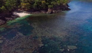 isla_palenque