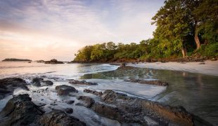 isla_palenque