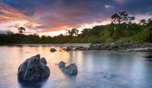 isla_palenque