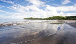 isla_palenque